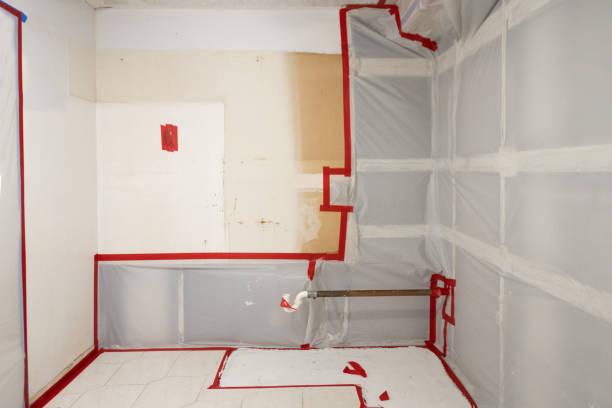 Best Emergency Mold Remediation  in Moose Lake, MN