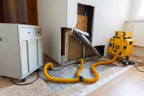 Best Asbestos and Lead Testing During Mold Inspection  in Moose Lake, MN